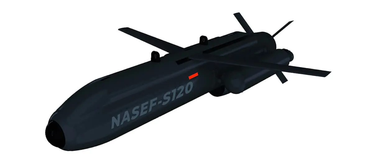 nasef-1.jpg