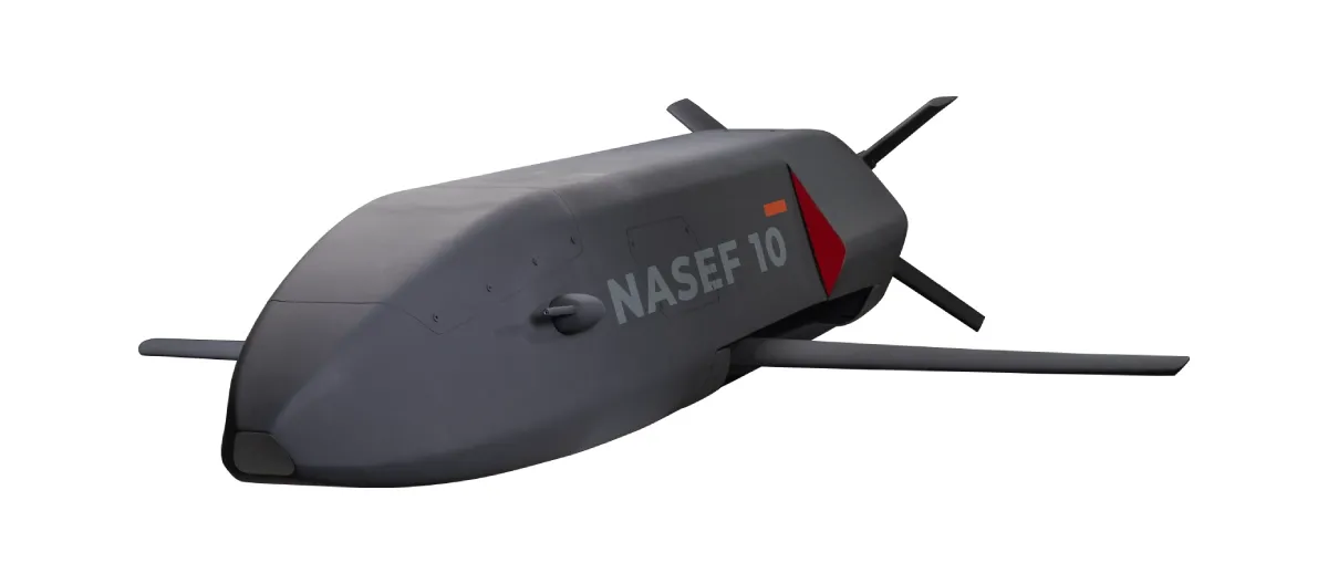 NASEF 10