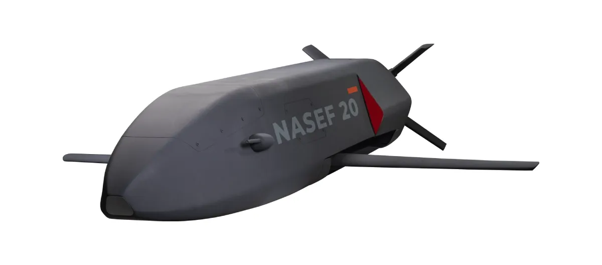NASEF 20