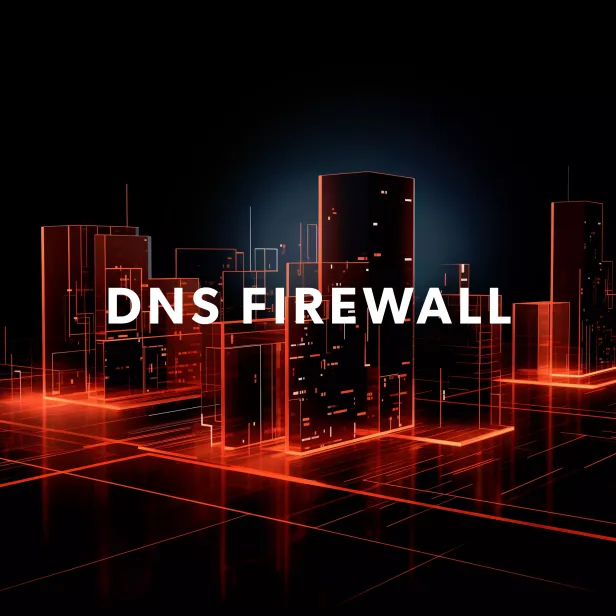 DNS FIREWALL - Firewall Based Security for Malware Protection in Abu Dhabi, UAE