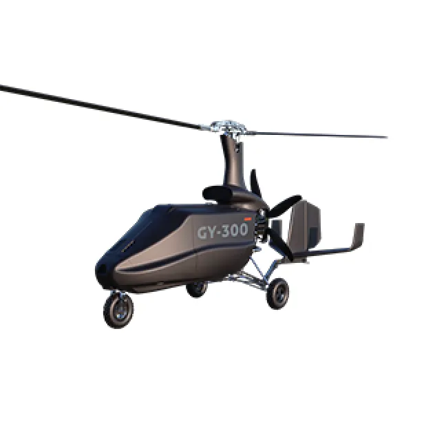 GY 300